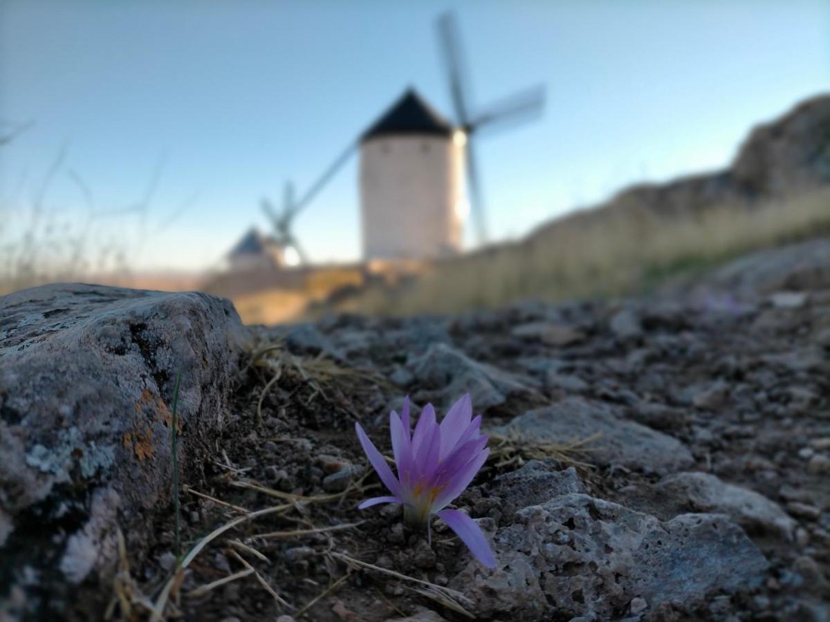 Azafran Consuegra 게스트하우스 외부 사진