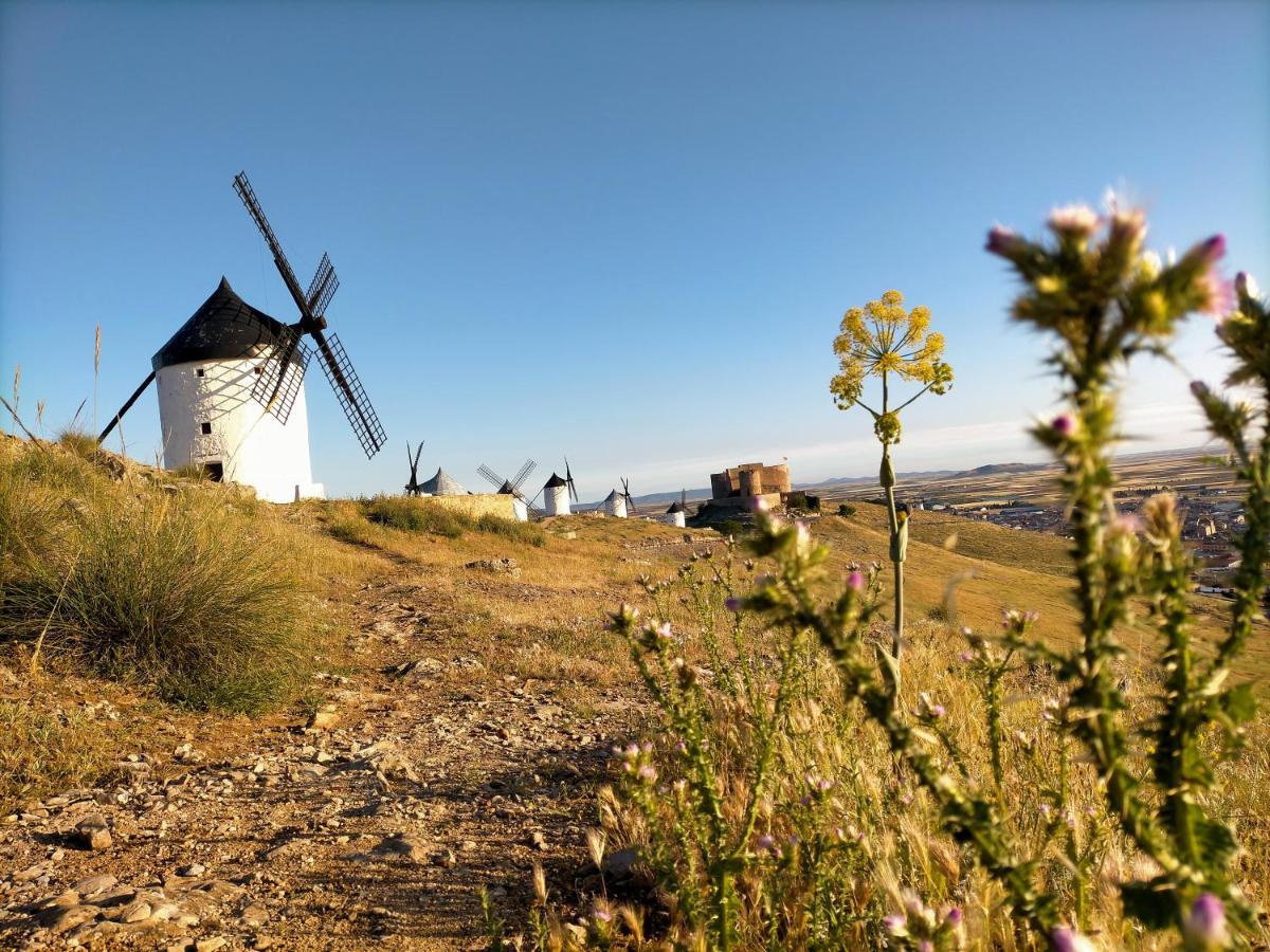 Azafran Consuegra 게스트하우스 외부 사진